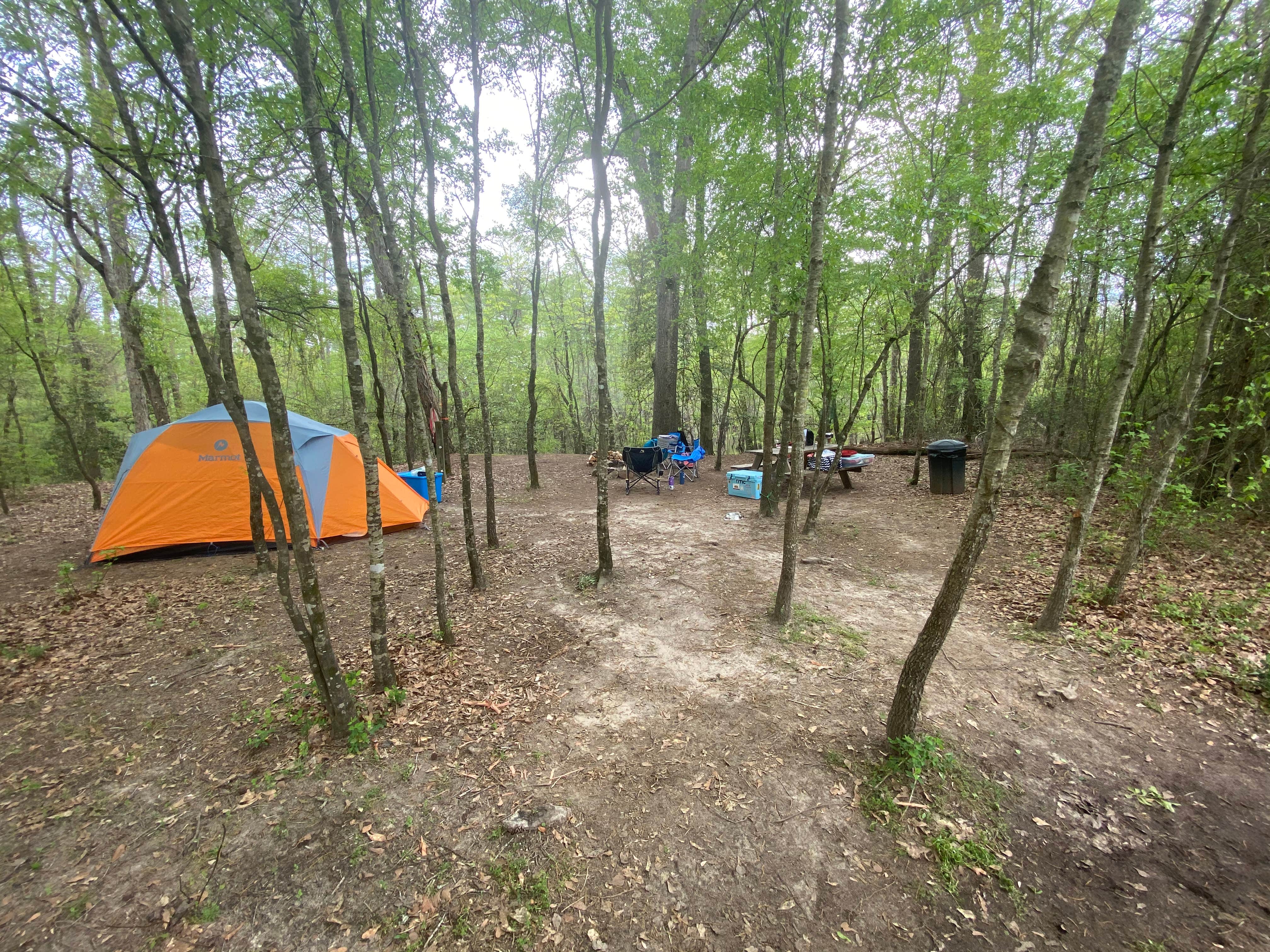 Camper submitted image from Blackwater Birds and Bees - 3
