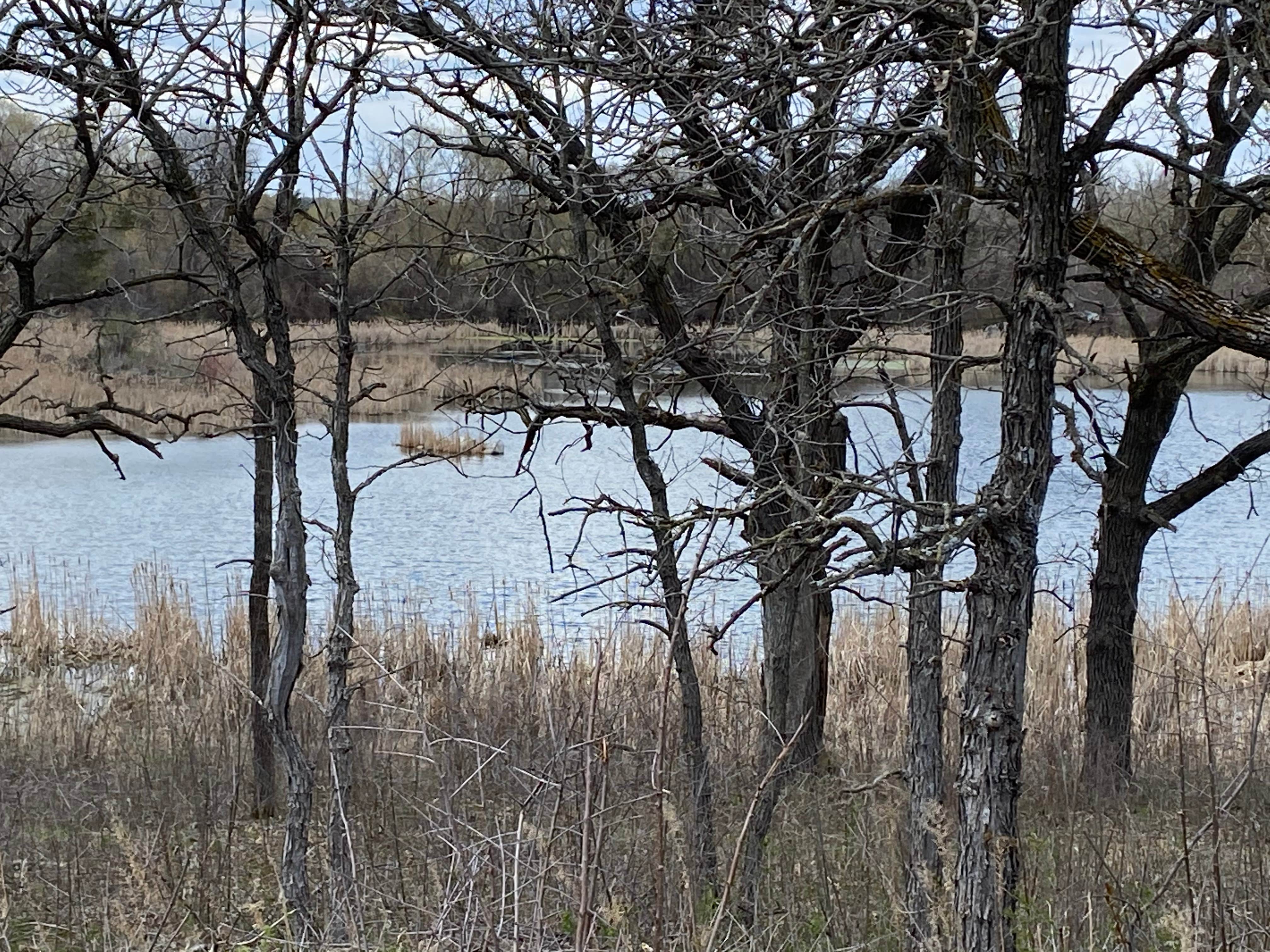 Camper-submitted photo at Memorial Park near Granite Falls, MN