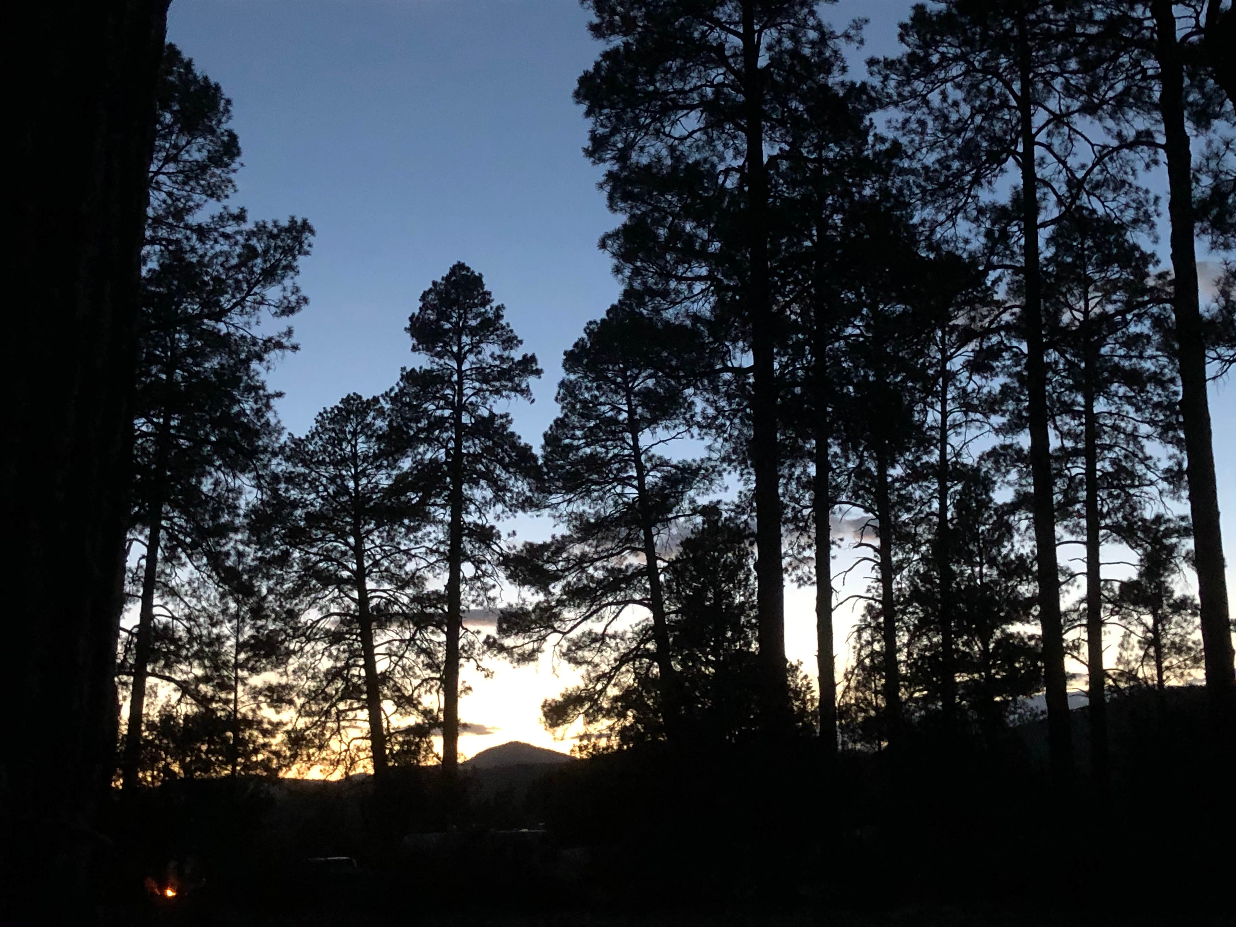 Camping near Pinon - Quemado Lake: Apache Creek Campground, Reserve, New Mexico