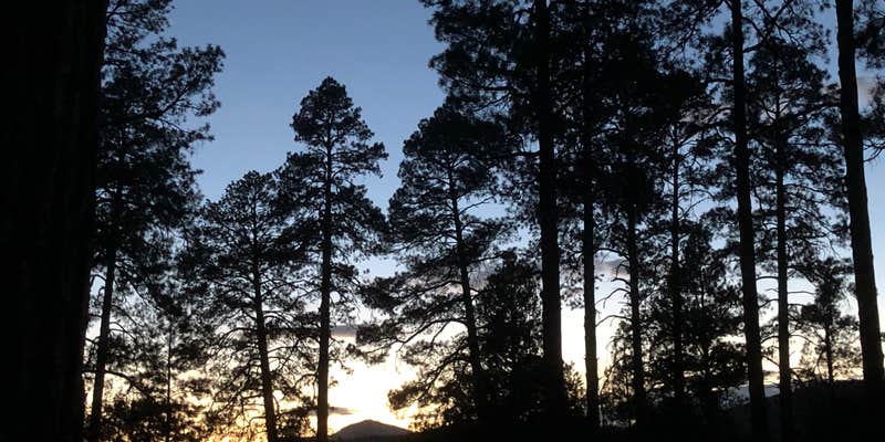 Camper submitted image from Apache Creek Campground