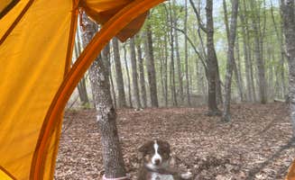 Rachael H.'s photo at Kings Mountain — Kings Mountain State Park in South Carolina