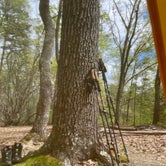 Review photo of Kings Mountain — Kings Mountain State Park by Rachael H., April 18, 2021
