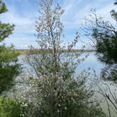 Review photo of Starved Rock Campground — Starved Rock State Park by Charles M., April 18, 2021