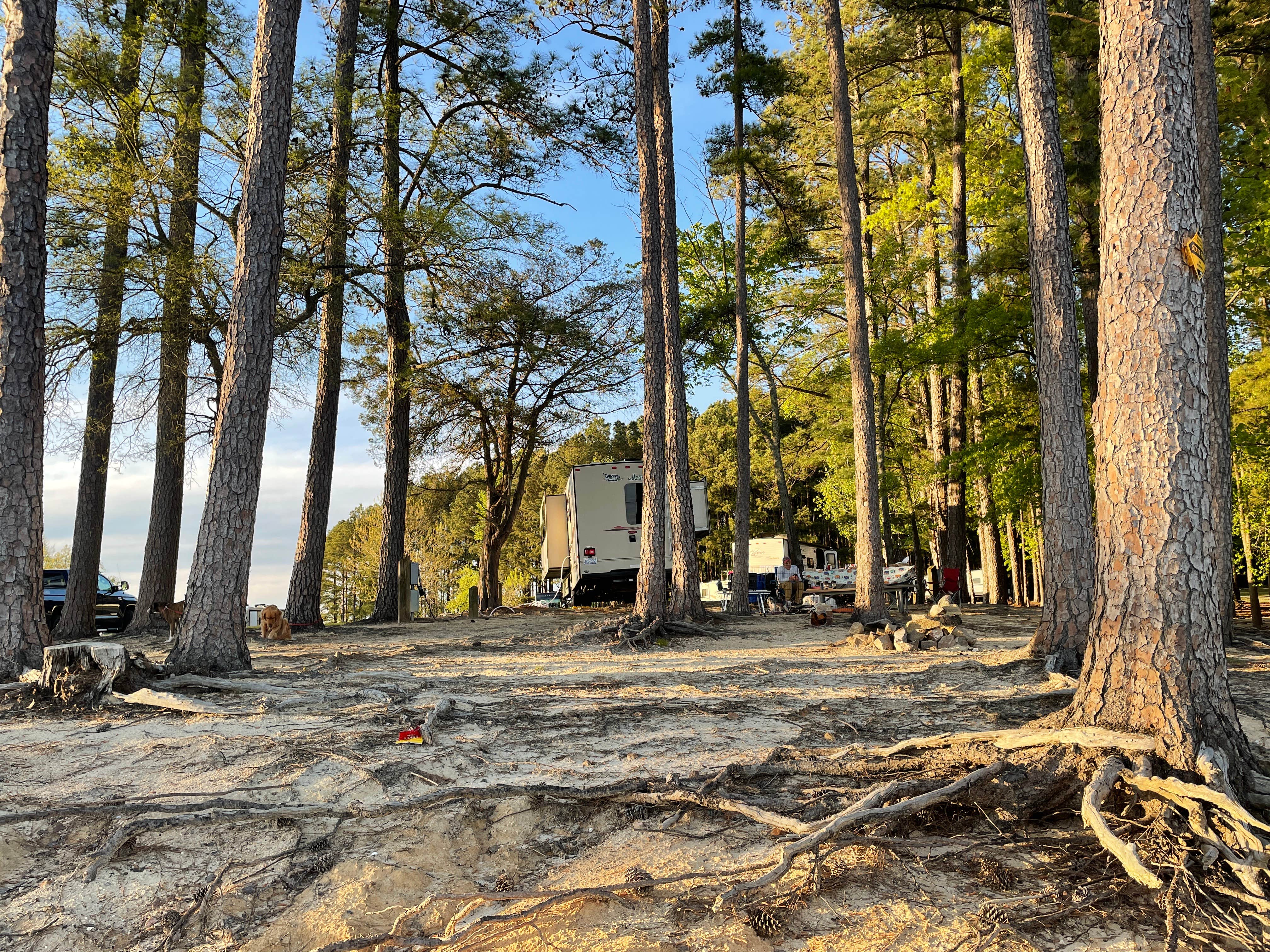 Camper submitted image from Kimball Point Campground — Kerr Lake State Recreation Area - 3