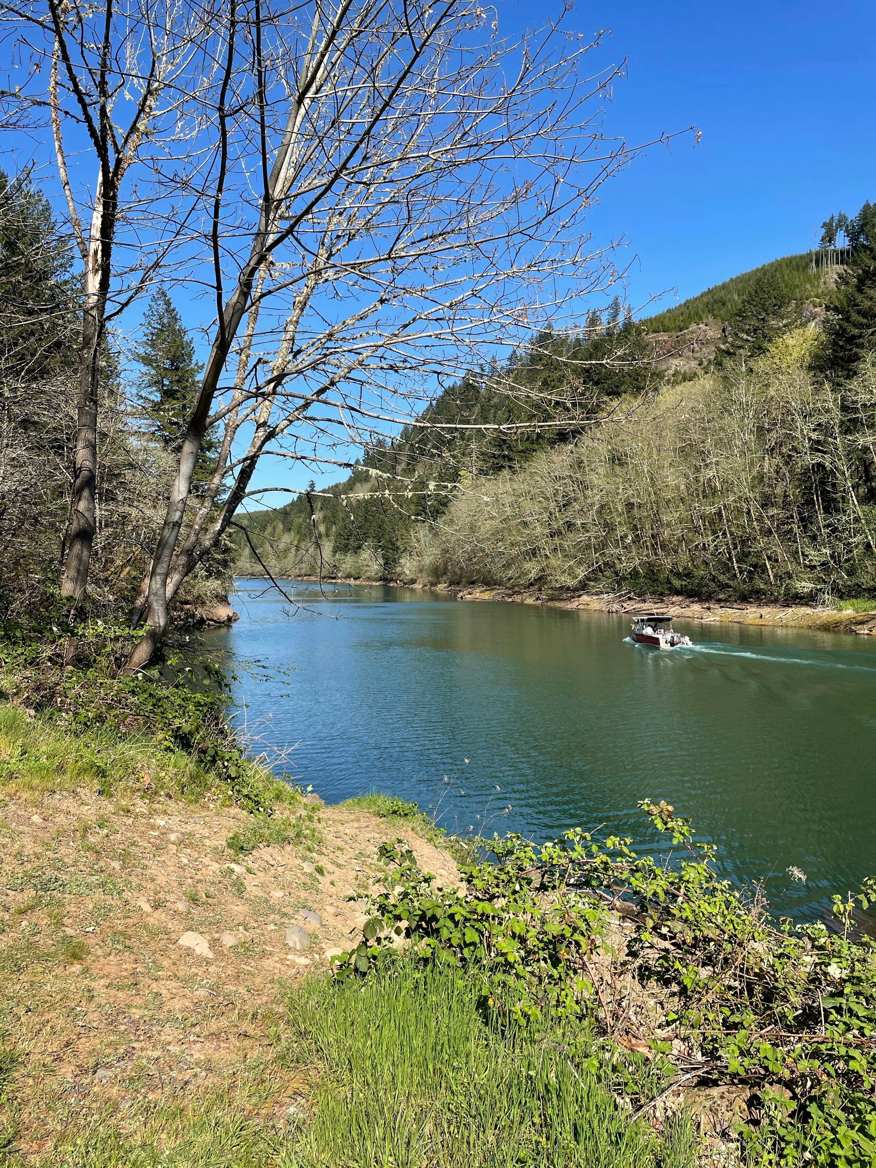 Escape to Sunnyside: Your Oregon Campground Adventure Awaits!