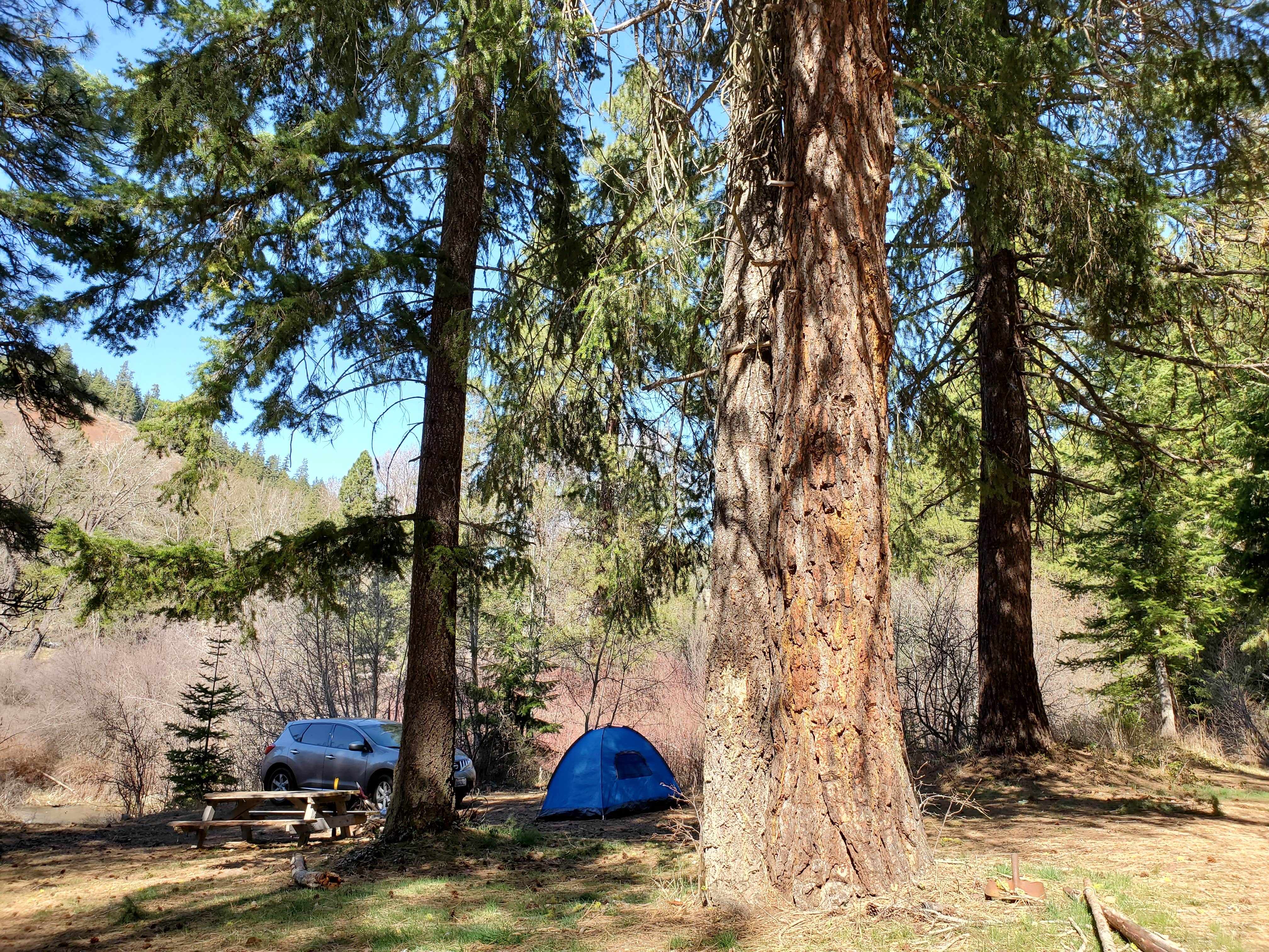 Camping near First Creek Camping: Liberty Recreation Site, Okanogan-Wenatchee National Forest, Washington