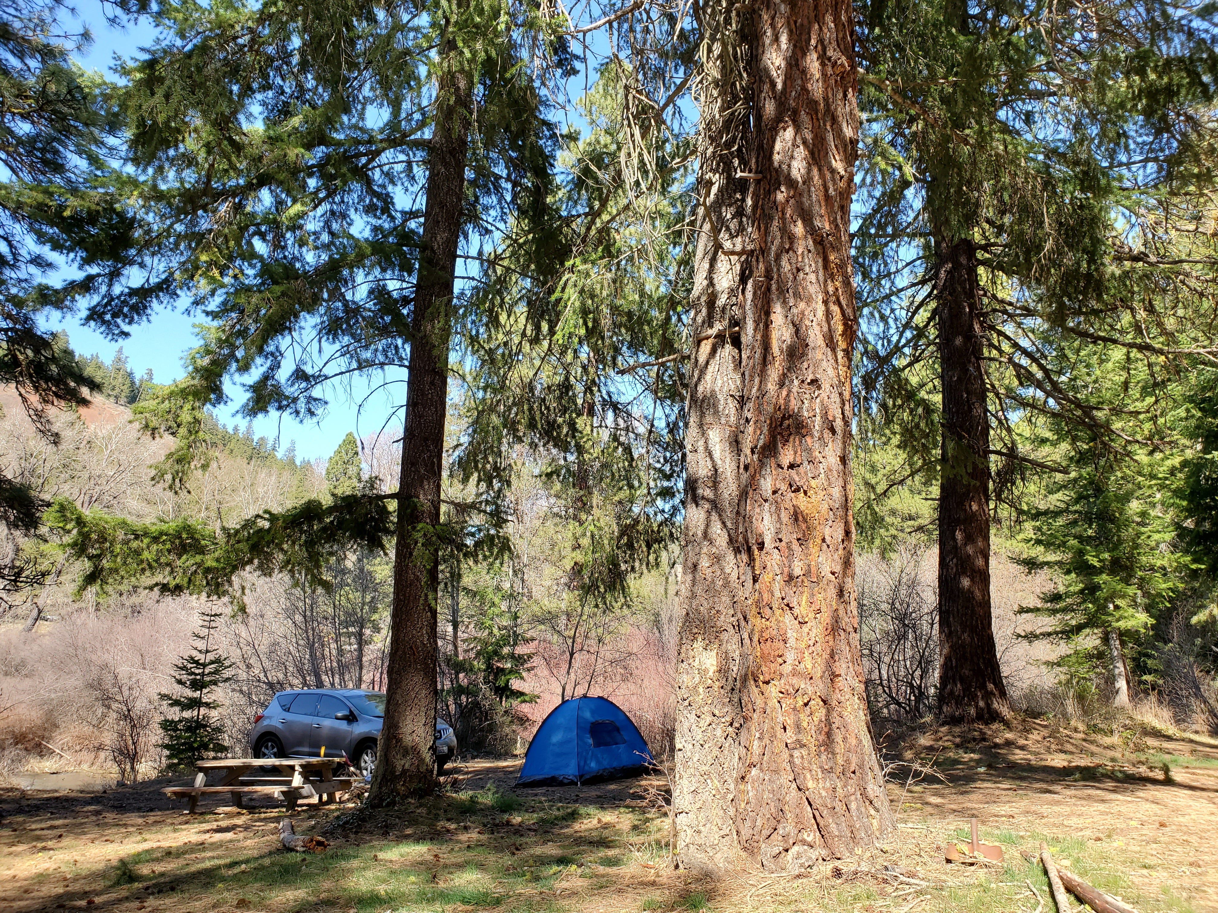 Camper submitted image from Liberty Recreation Site - 1