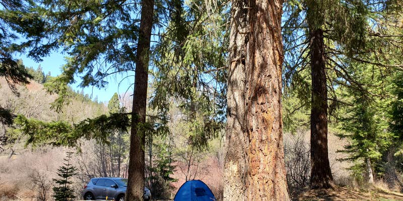 Camper submitted image from Liberty Recreation Site