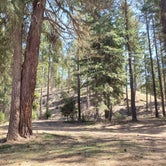 Review photo of Liberty Recreation Site by Michael J., April 19, 2021
