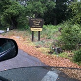 Review photo of Cerro Alto Campground by Joy C., May 31, 2018