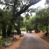 Review photo of Cerro Alto Campground by Joy C., May 31, 2018