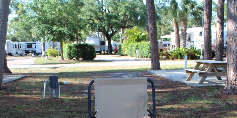 Camper submitted image from Road Runner Travel Resort