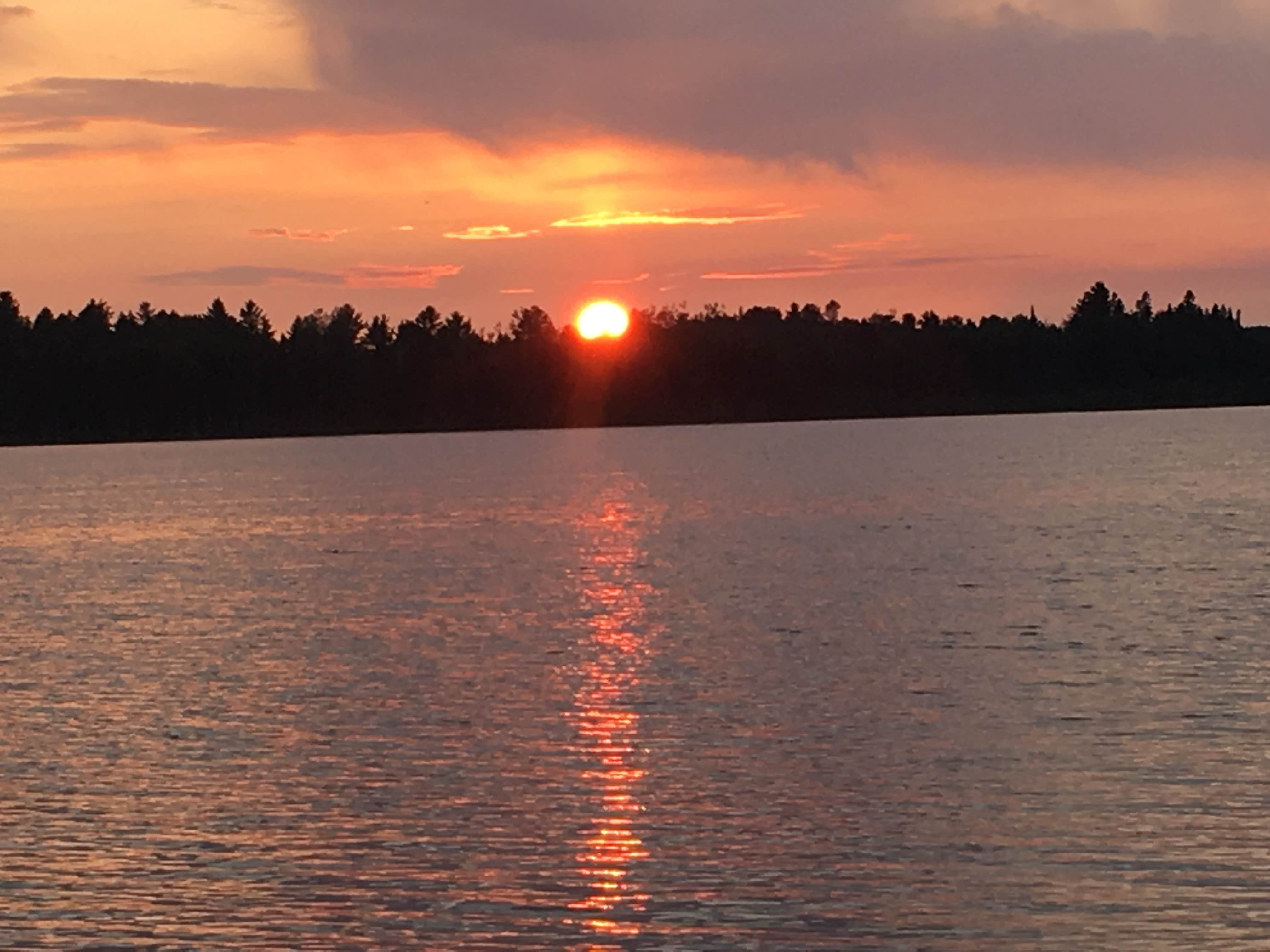 Camper submitted image from Genes Pond State Forest Campground - 2