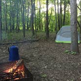 Review photo of Pike Lake Campground — Kettle Moraine State Forest-Pike Lake Unit by Matt N., April 19, 2021