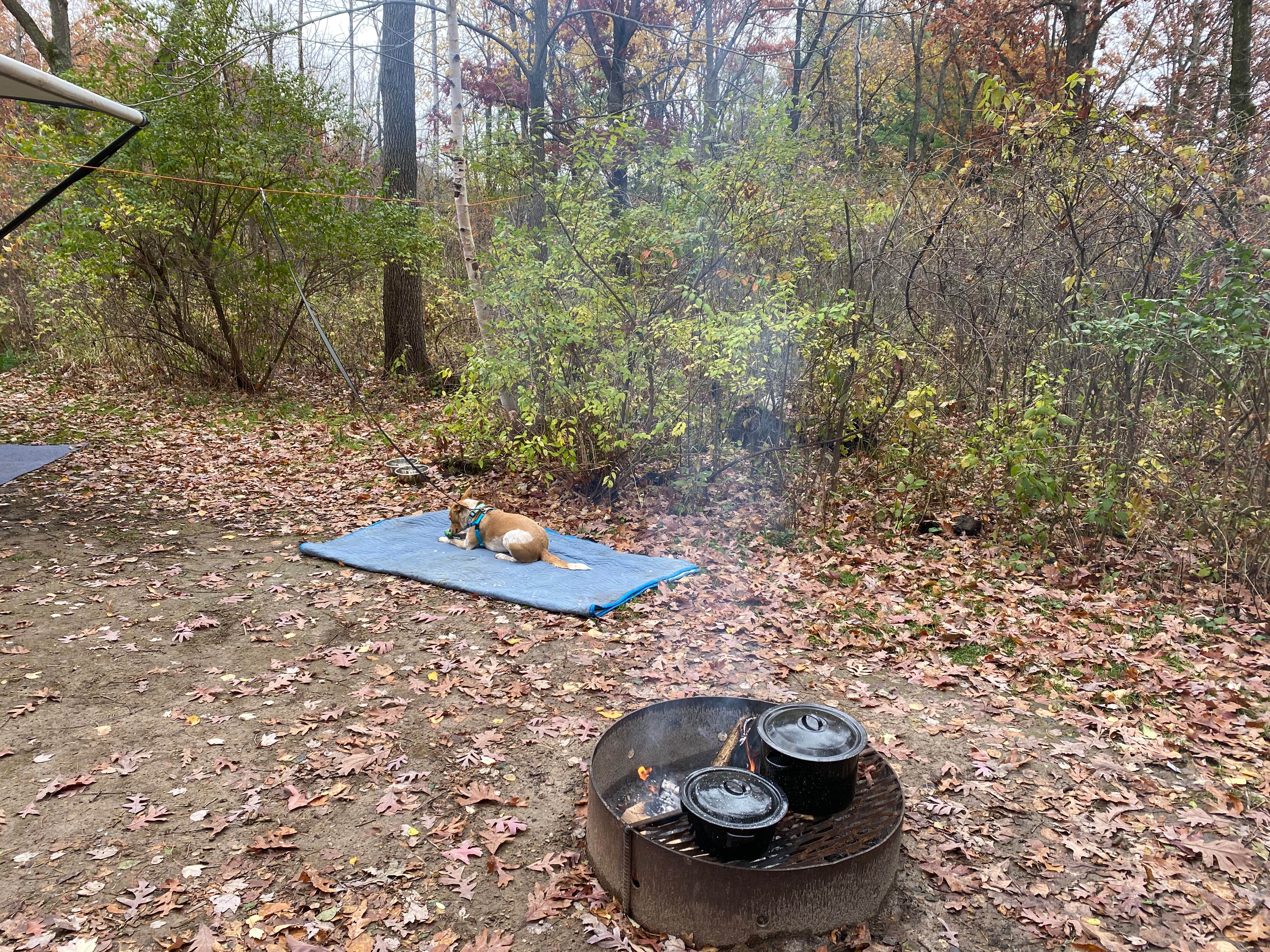 Matt N.'s photo at Lake Kegonsa State Park Campground near Milton, WI