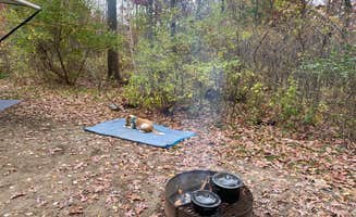 Matt N.'s photo at Lake Kegonsa State Park Campground near Milton, WI