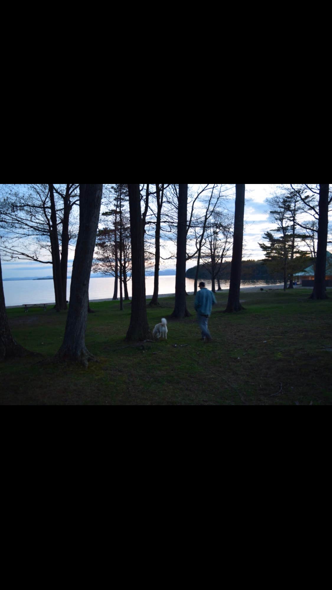 Katherine B.'s photo of camping with pets at North Beach Campground near Swanton, VT