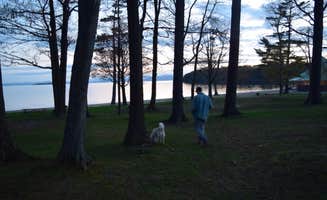 Katherine B.'s photo of camping with pets at North Beach Campground near Burlington, VT