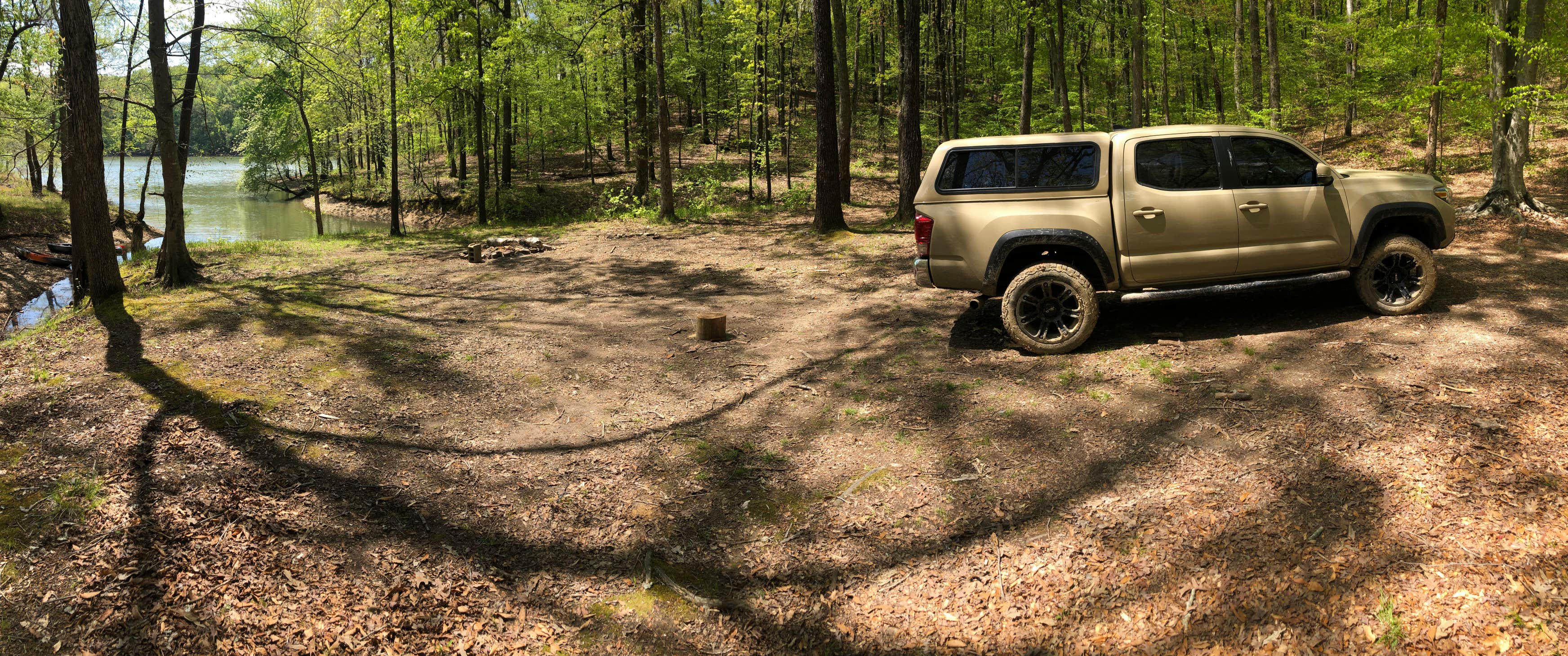 Ginger Bay Camping The Dyrt