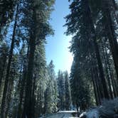 Review photo of Thousand Trails Yosemite Lakes by Erin A., April 19, 2021