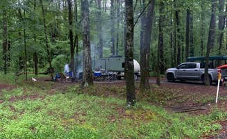 Becky B.'s photo at Caddo Lake State Park Campground near Benton, LA