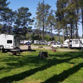 Review photo of Olema Campground by Filipino Jack T., April 19, 2021