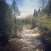 Review photo of Ocqueoc Falls State Forest Campground by Maria L., May 31, 2018