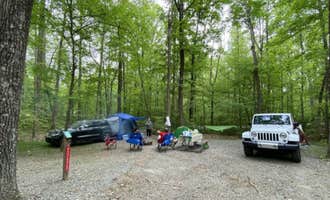 Camping near Cedarock Park: Hagan-Stone Park, Pleasant Garden, North Carolina