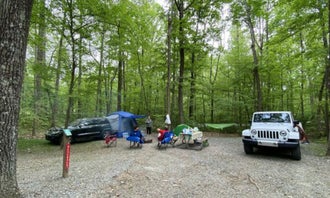 Camping near Oak Hollow City Campground: Hagan-Stone Park, Pleasant Garden, North Carolina