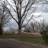 Review photo of Lone Eagle Campground by Nancy C., April 19, 2021