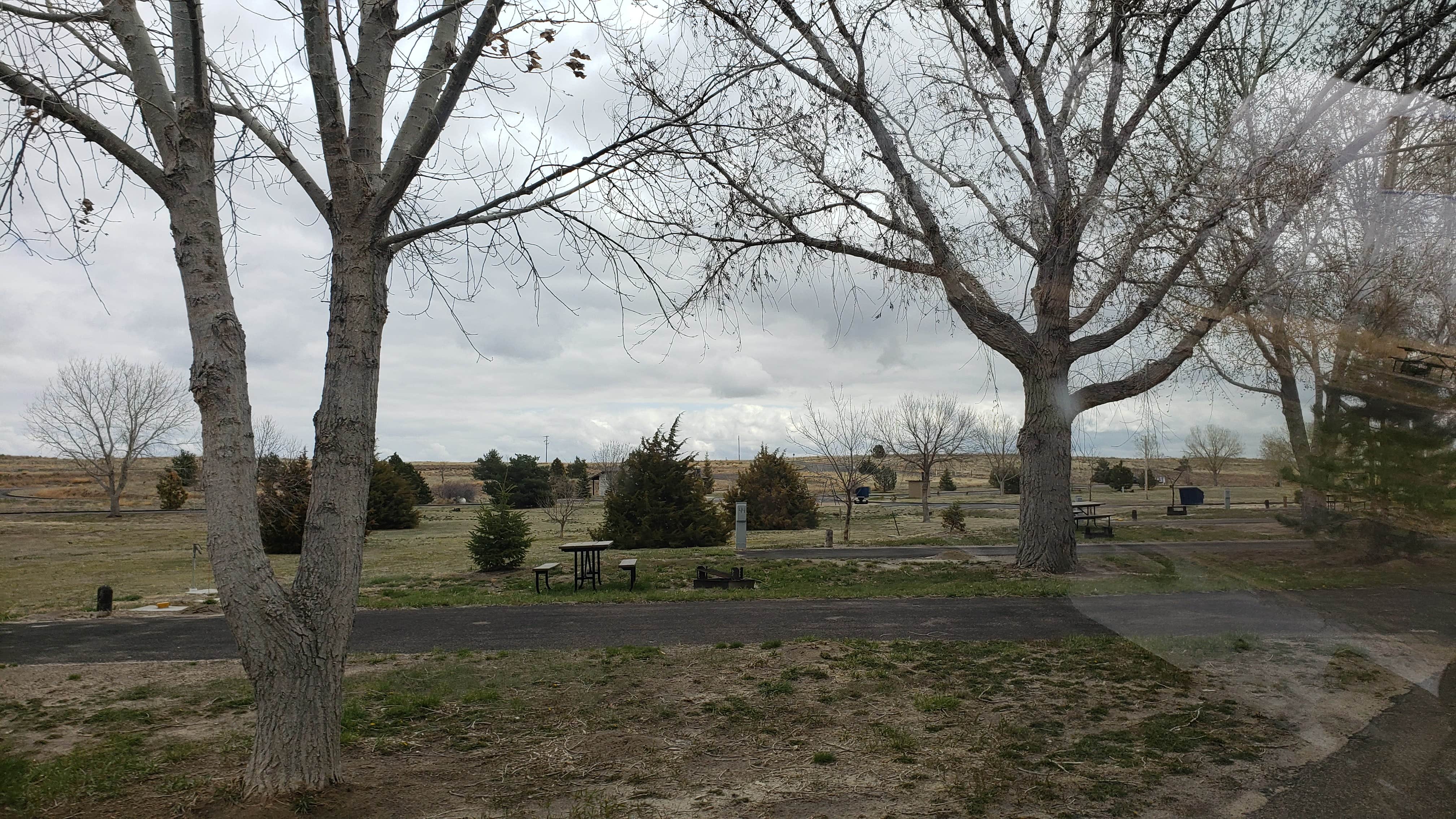 View All