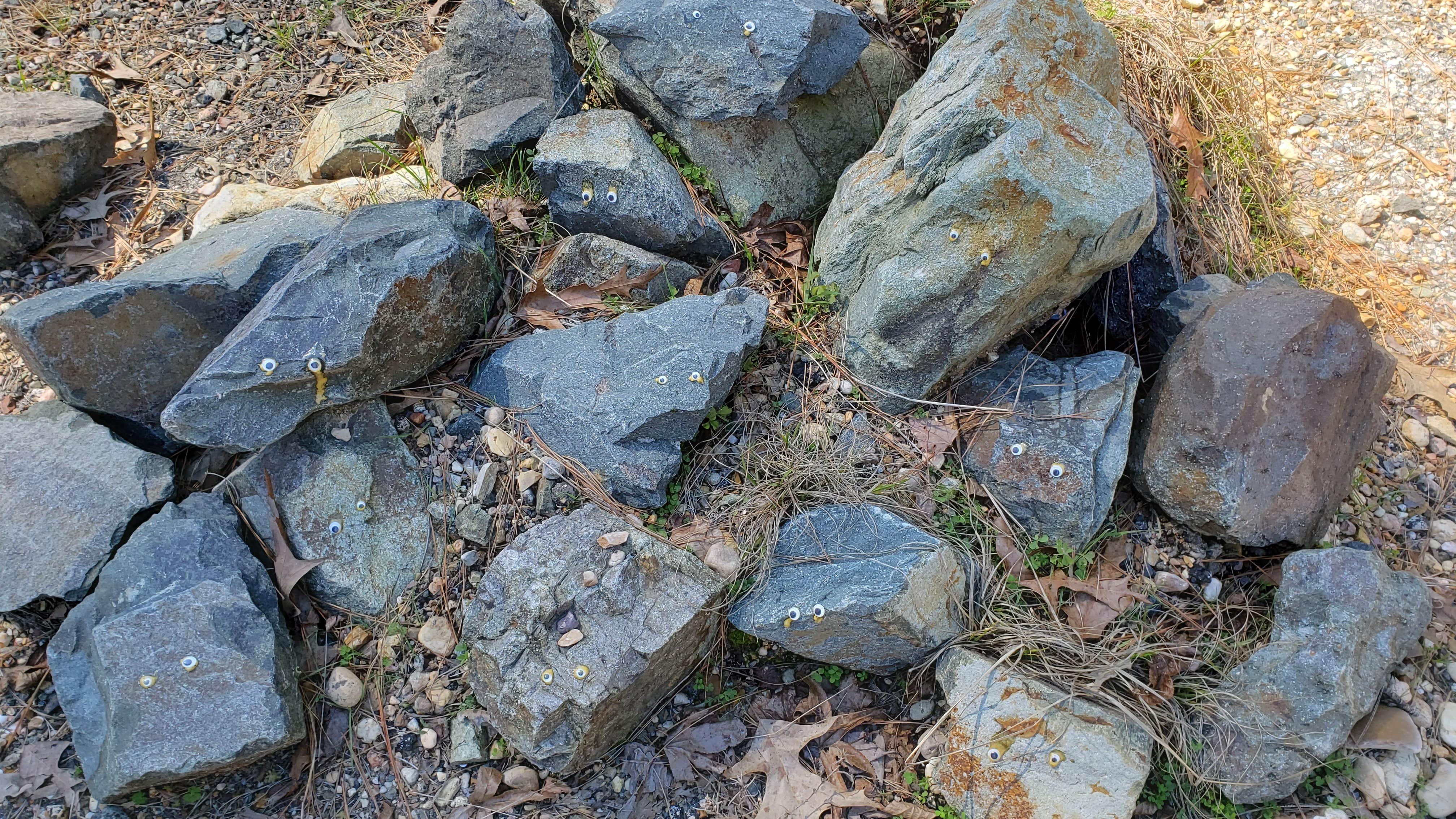 Camper-submitted photo at Rocky Point near Queen City, TX