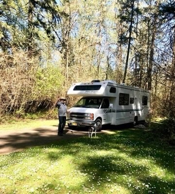 Camper submitted image from Richardson Park & Campground - A Lane County Park - 1