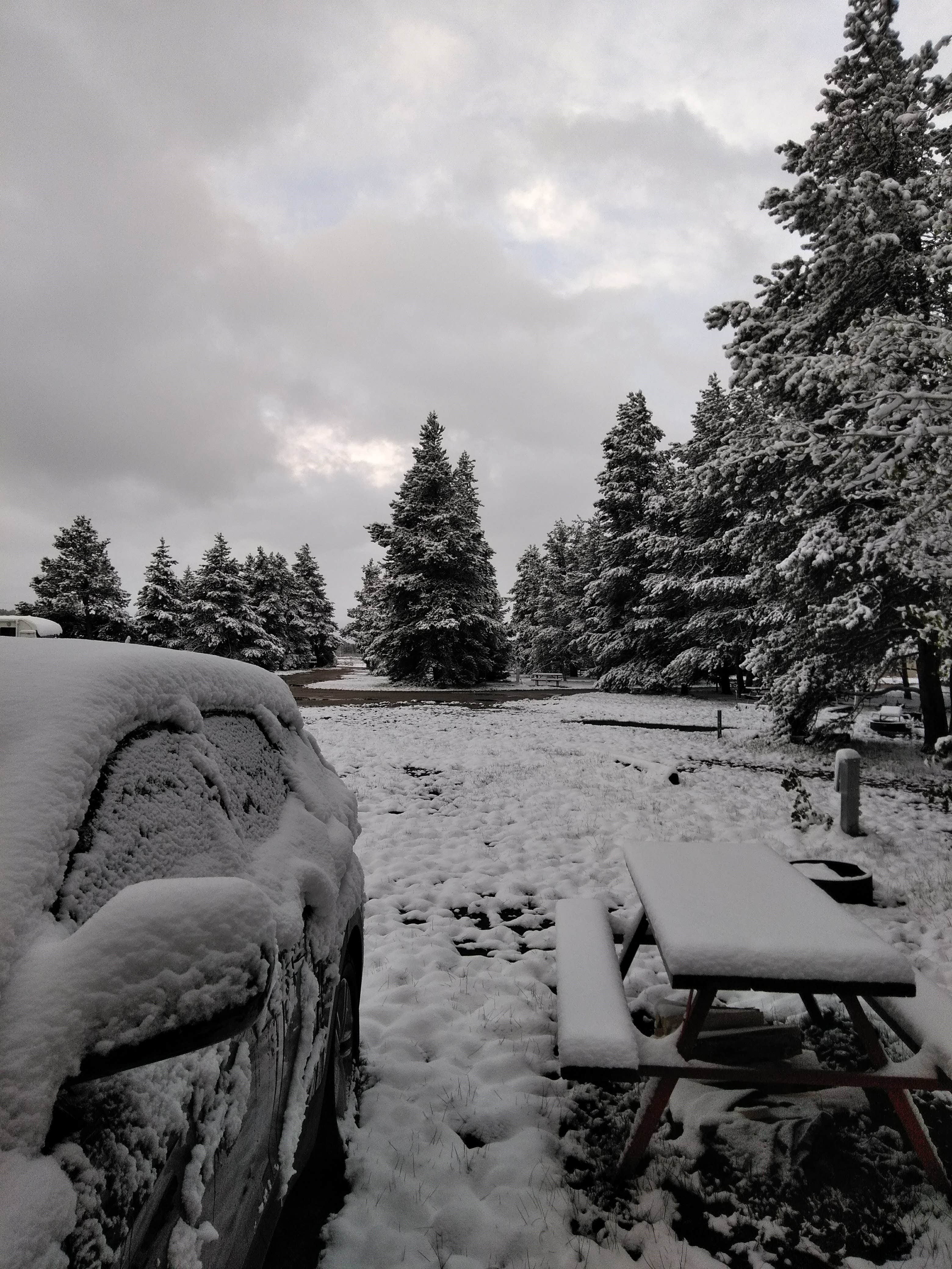 Camper-submitted photo at Sugar Loafin' RV/Campground & Cabins near Fairplay, CO