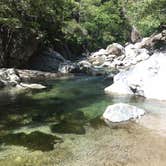 Review photo of Pfeiffer Big Sur State Park Campground by Jennifer B., May 31, 2018
