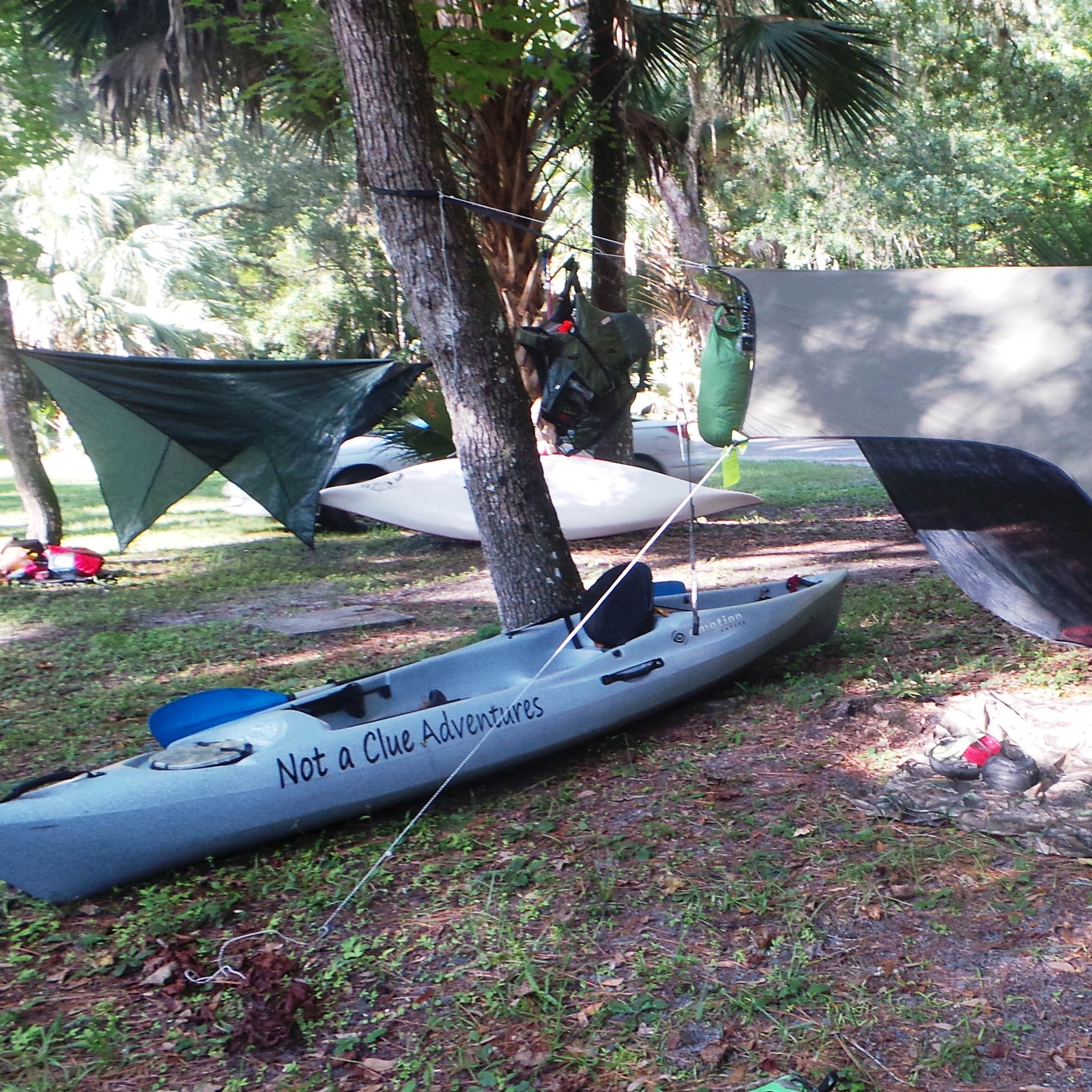 Gores Landing Camping The Dyrt