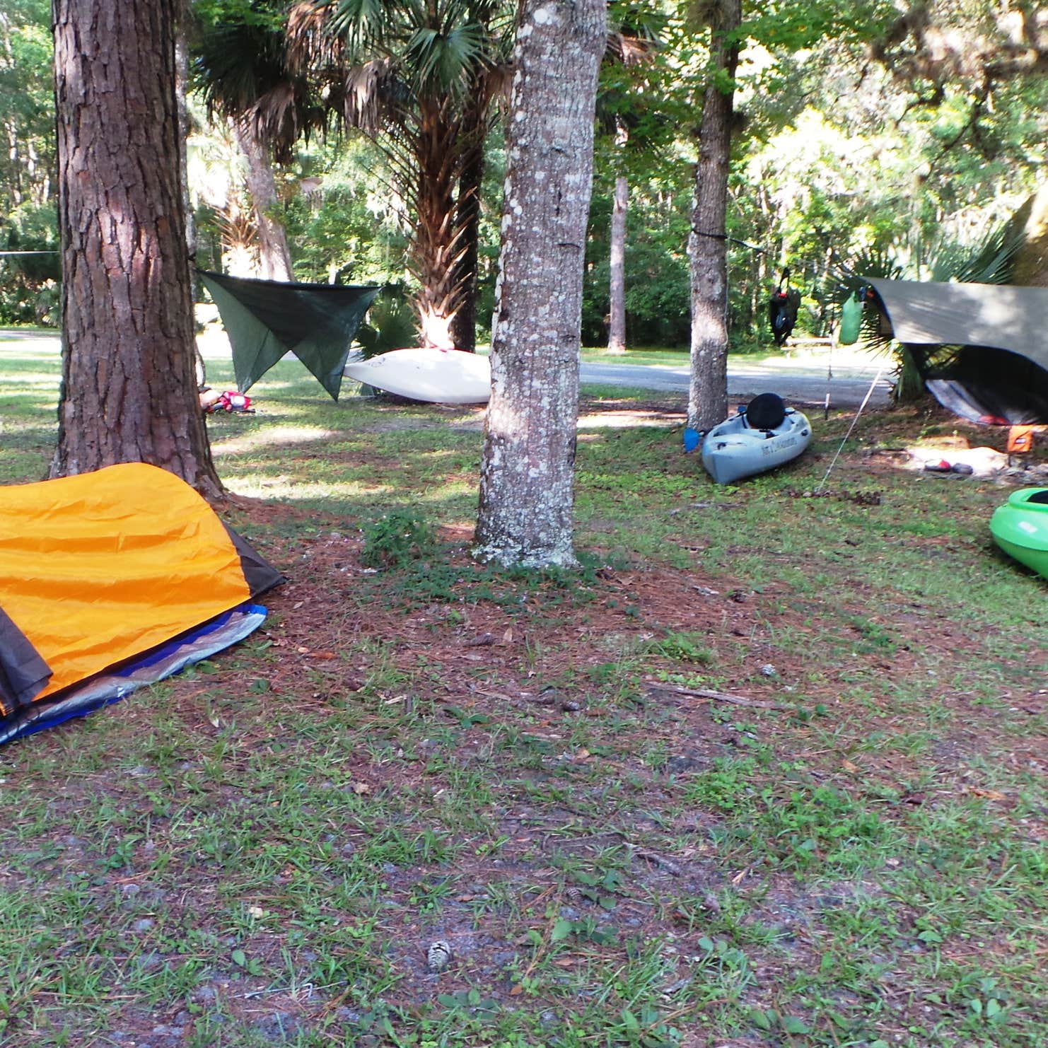 Gores Landing Camping The Dyrt