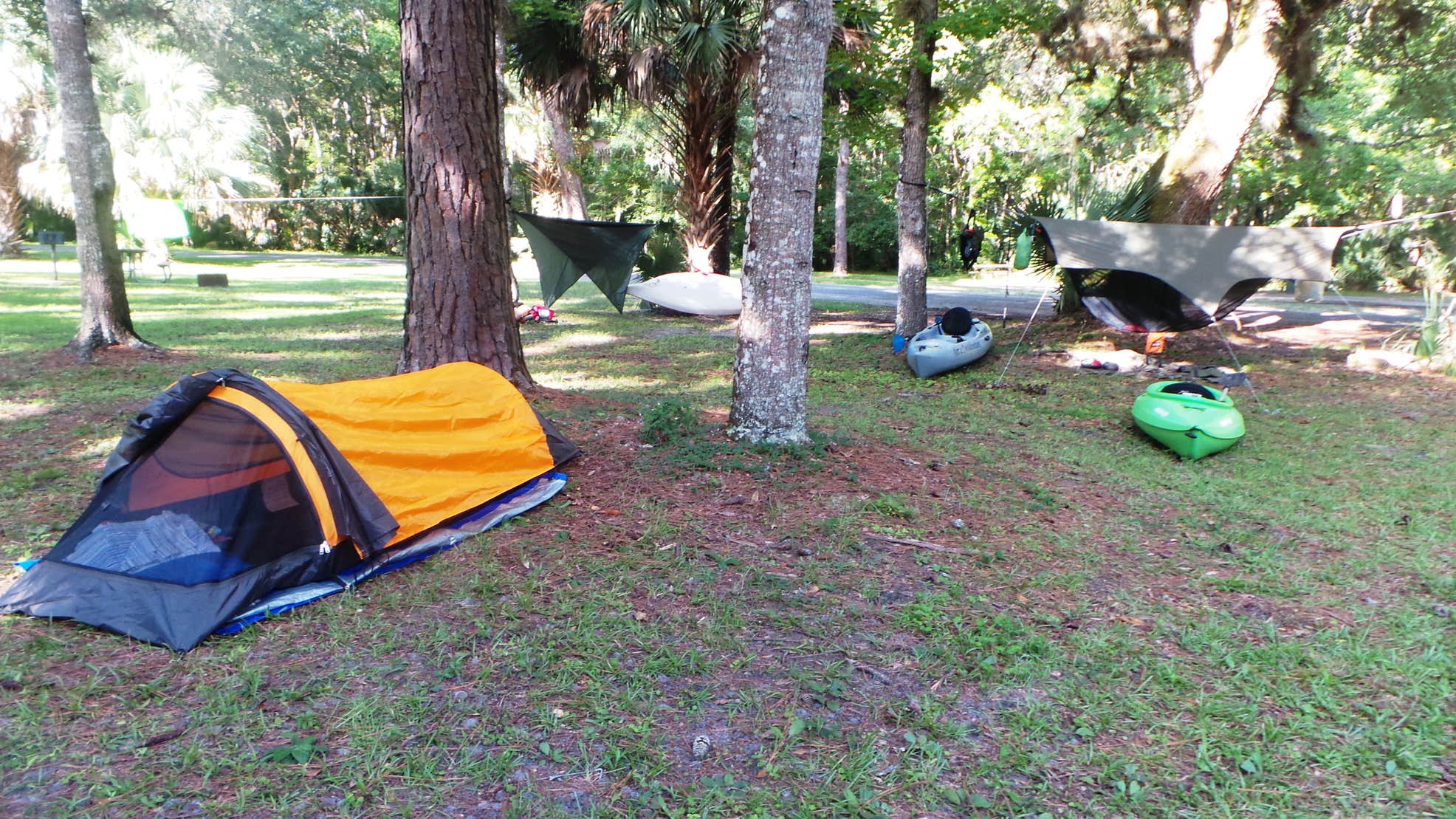 Gores Landing Camping The Dyrt