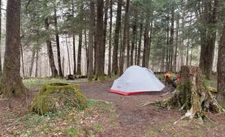 Christina  Z.'s photo at 26 Dripping Spring in Tennessee