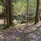 Review photo of Elkmont Campground — Great Smoky Mountains National Park by Jessica D., April 19, 2021