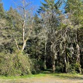 Review photo of Sea Ranch Resort by Eric P., April 19, 2021