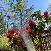 Review photo of Sea Ranch Resort by Eric P., April 19, 2021