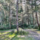 Review photo of Sea Ranch Resort by Eric P., April 19, 2021