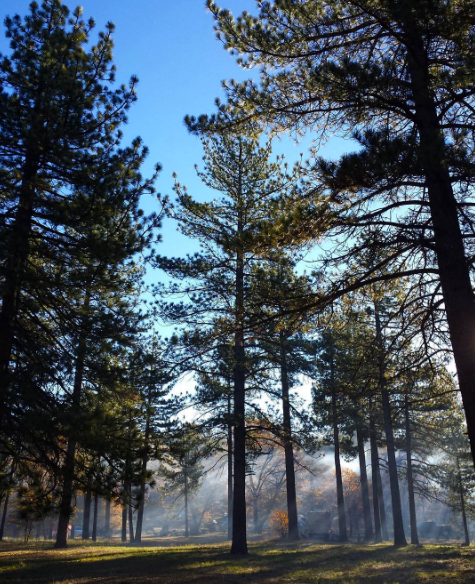 Camper-submitted photo at El Prado Campground near Ranchita, CA