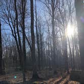 Review photo of Lake of the Pines Campground — Flambeau River State Forest by Krista F., April 19, 2021