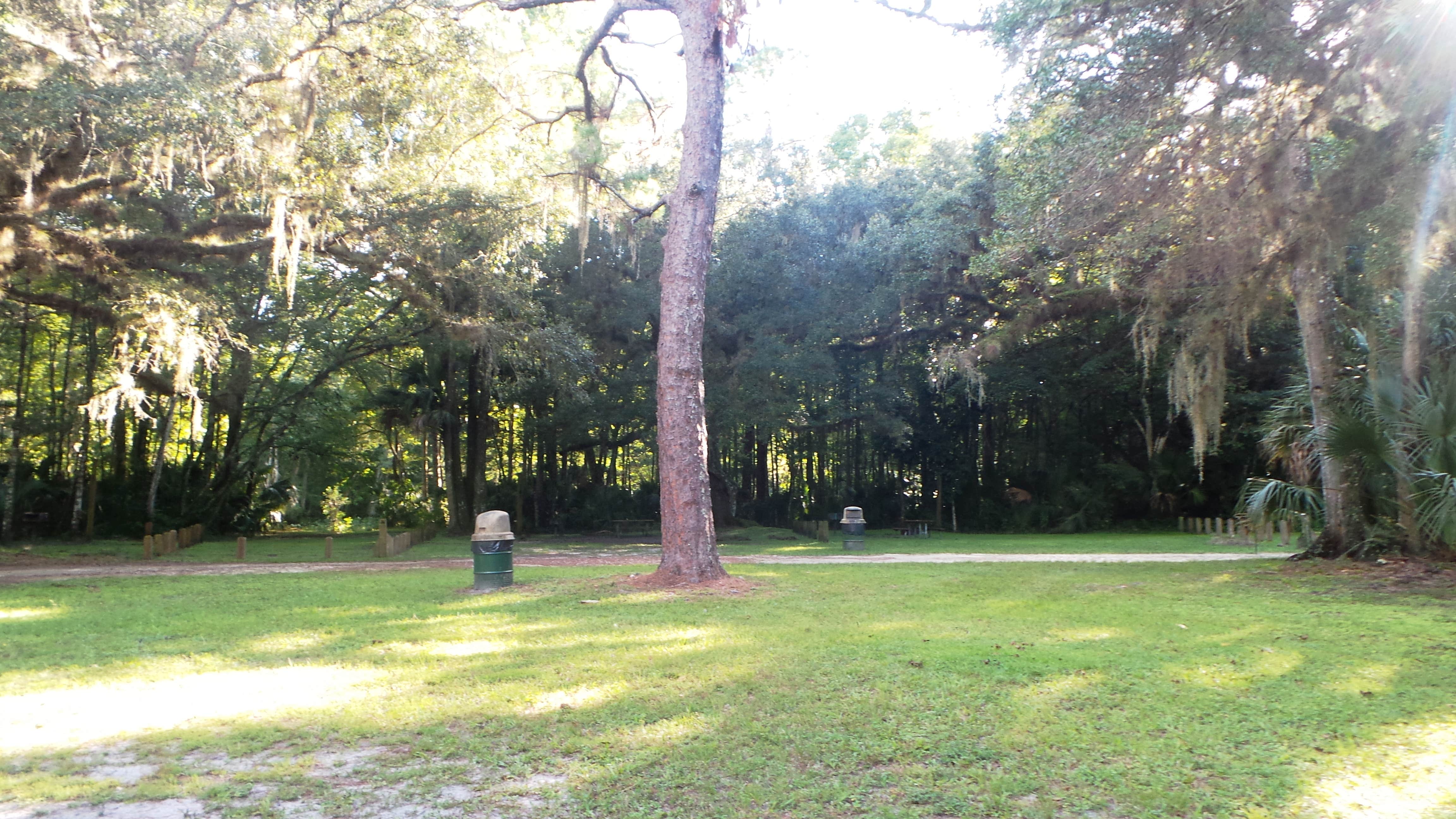 Camper-submitted photo at Gores Landing near National Forests in Florida
