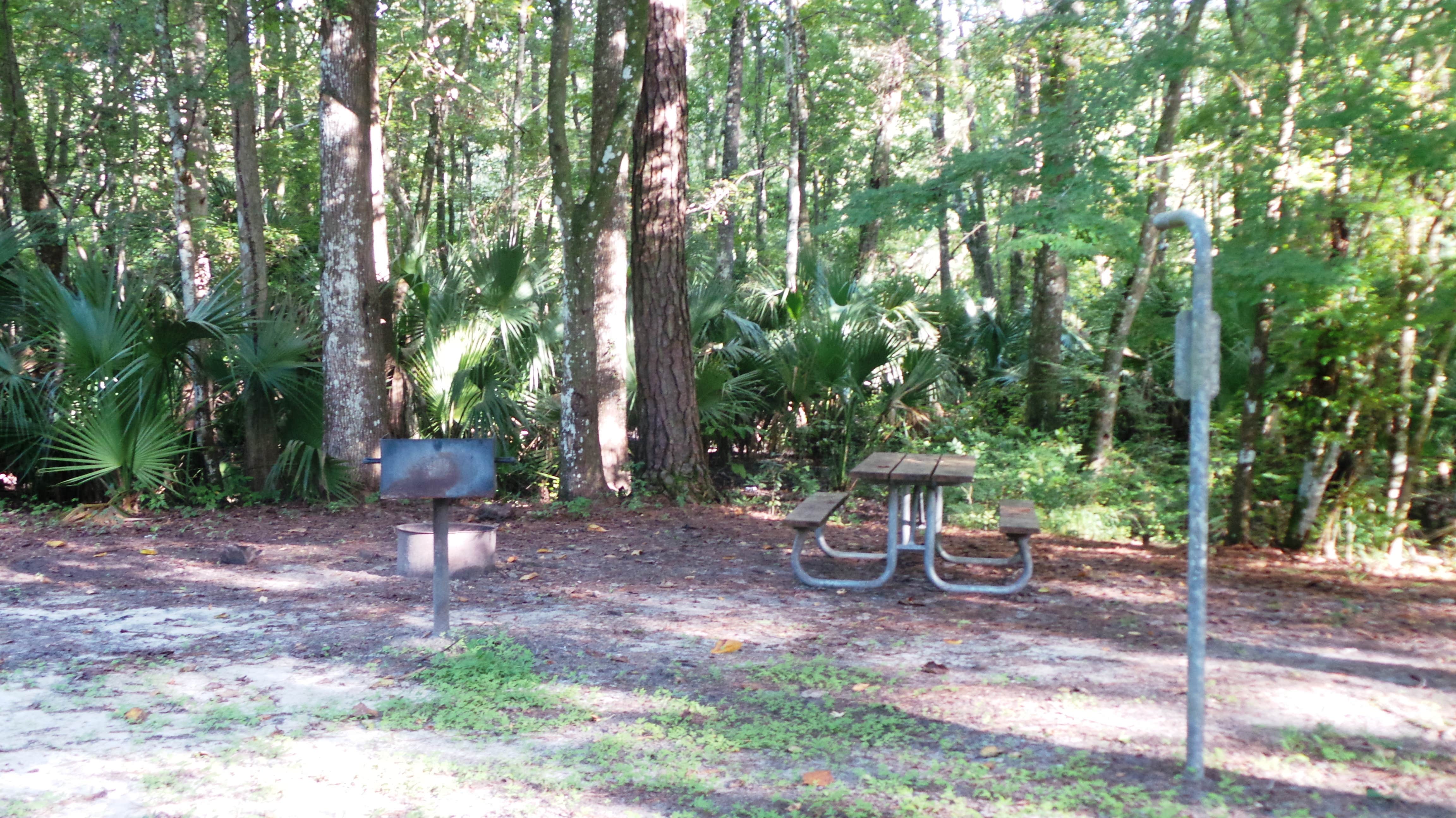 Camper-submitted photo at Gores Landing near National Forests in Florida