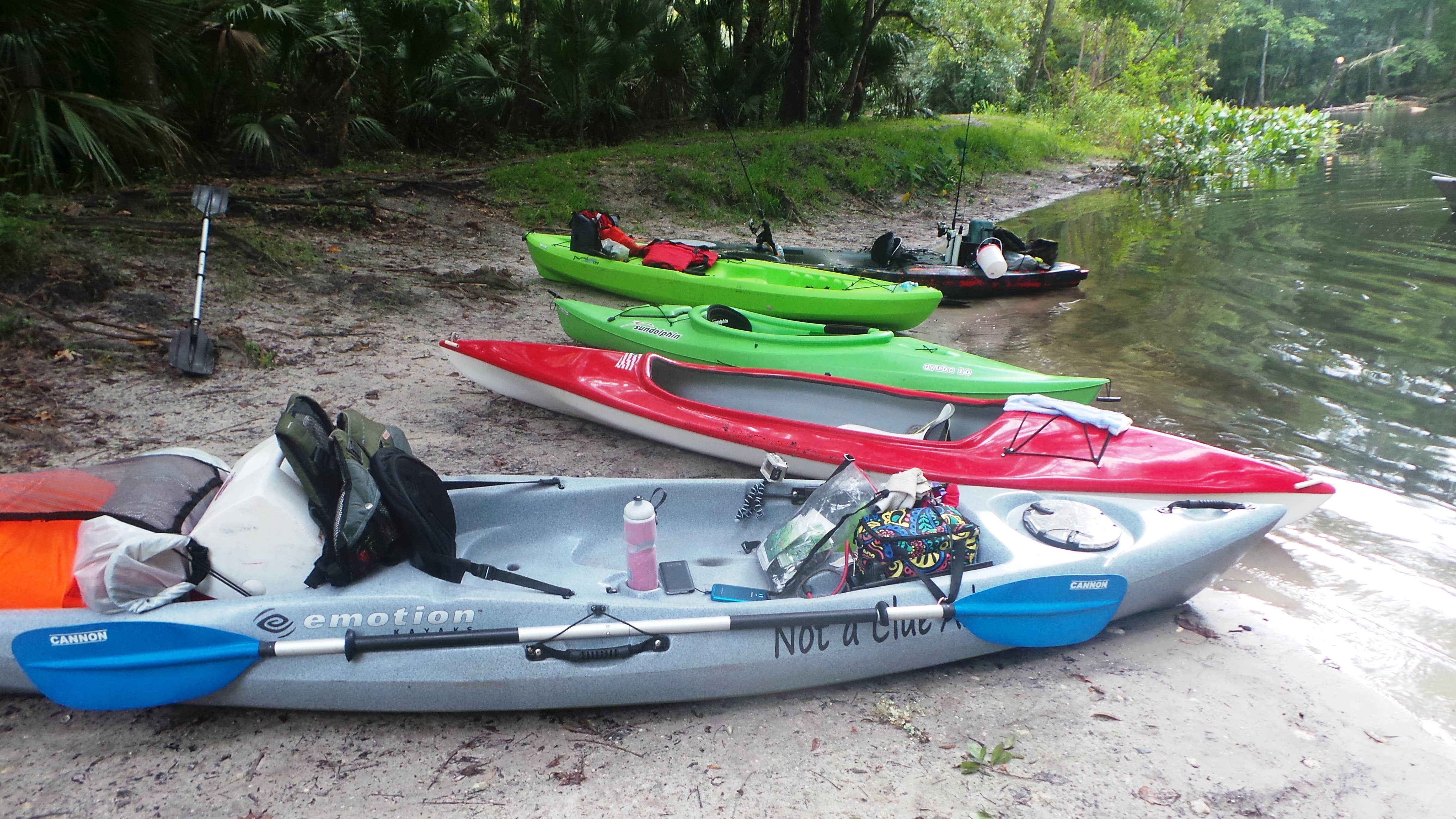 Camper-submitted photo at Gores Landing near National Forests in Florida