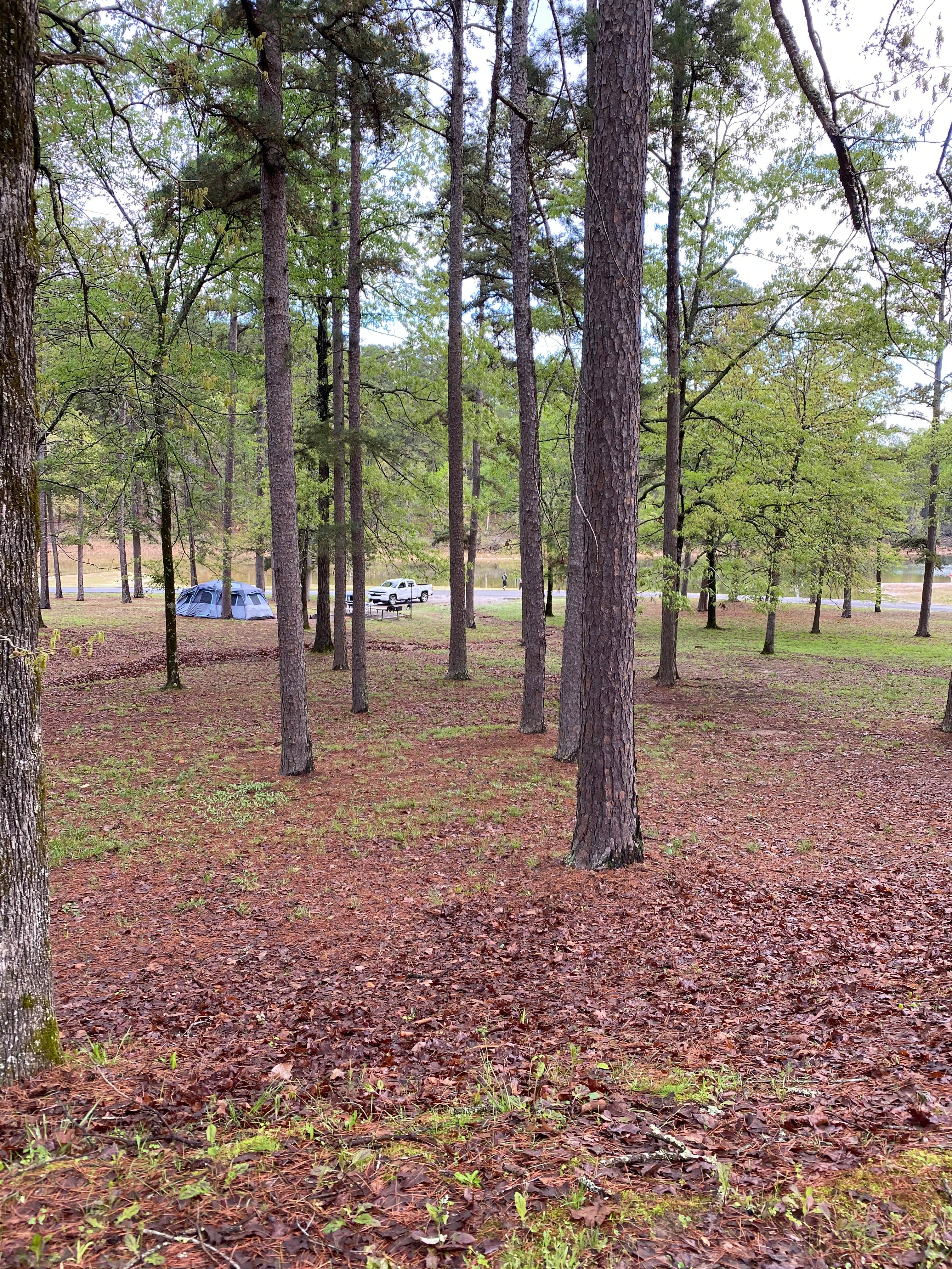 Camper-submitted photo at COE Lake Greeson Parker Creek Campground near Murfreesboro, AR