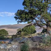 Review photo of Pinon Flats Campground — Great Sand Dunes National Park by Elizabeth M., April 19, 2021